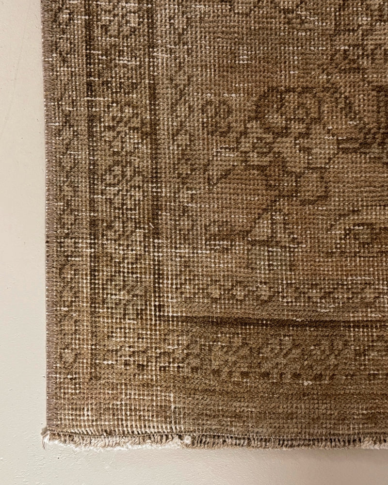 Birch