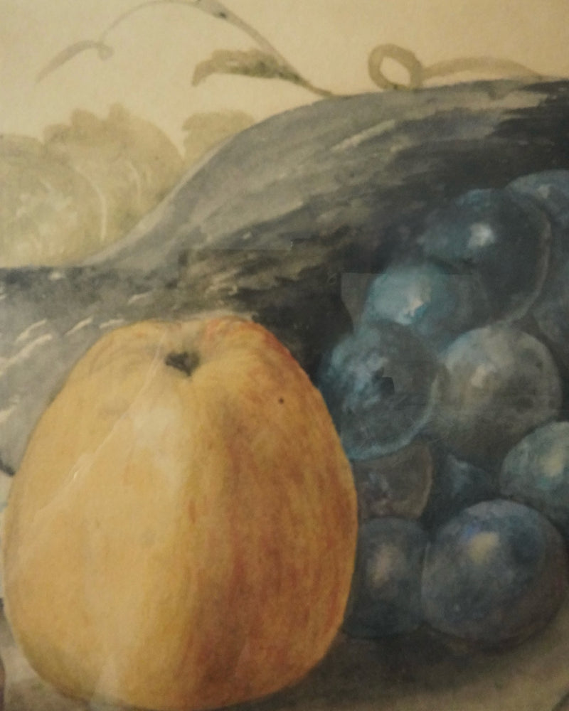 Bird and Fruit Still Life