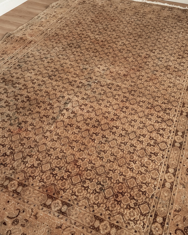 Turkish Rug 14 6 x 9