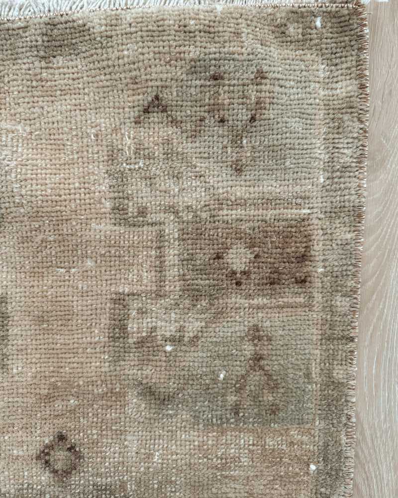 Turkish Rug 22 1 x 3