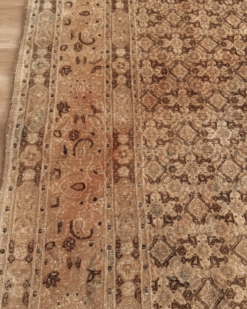 Turkish Rug 14 6 x 9