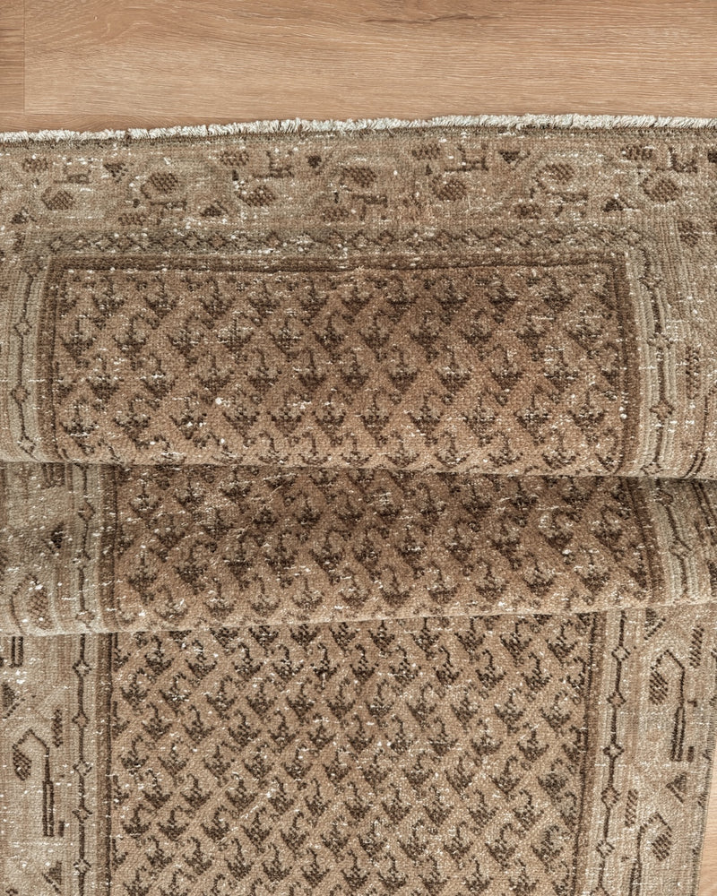Persian Rug 03 2 x 13