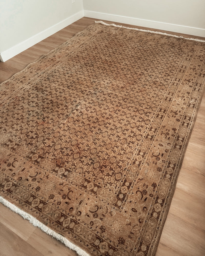 Turkish Rug 14 6 x 9