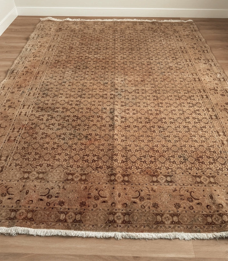 Turkish Rug 14 6 x 9