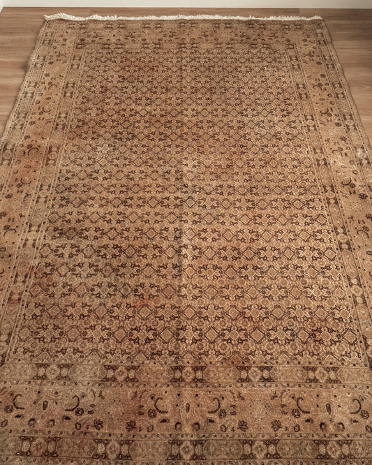 Turkish Rug 14 6 x 9